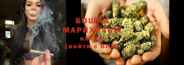 скорость Вяземский