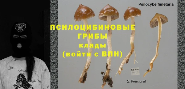 соль курить ск Горняк