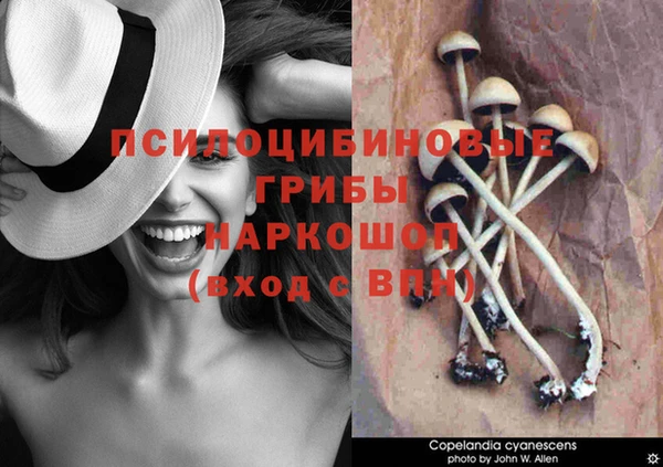 кристаллы Горно-Алтайск