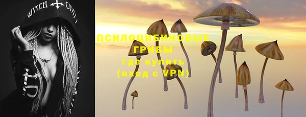 соль курить ск Горняк