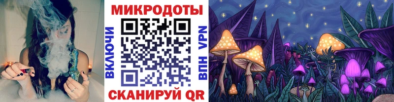 Галлюциногенные грибы мицелий  цены   Плёс 